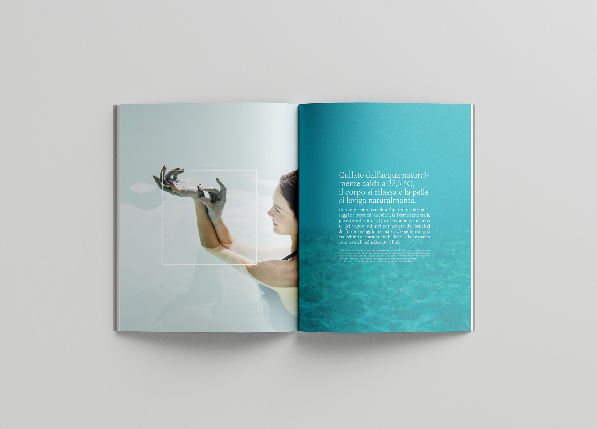 saturnia grafica 01