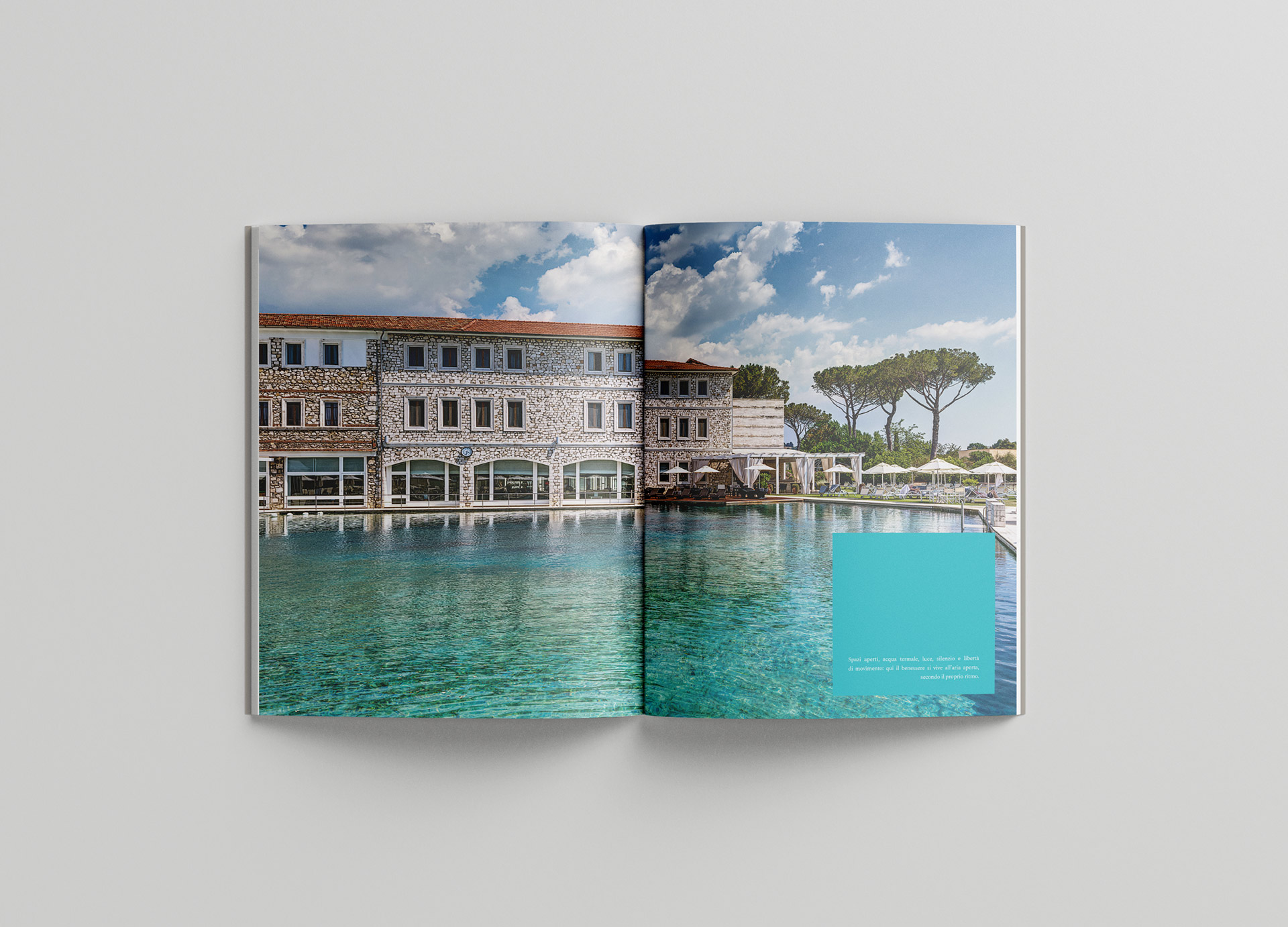 saturnia grafica 02